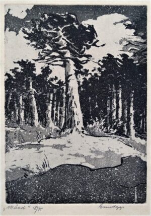 1966 Mänd 18/75
