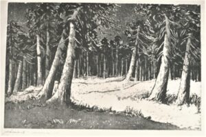 1966 Männimets