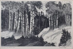1968 Kaasik